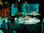 Xmas - aquarium event